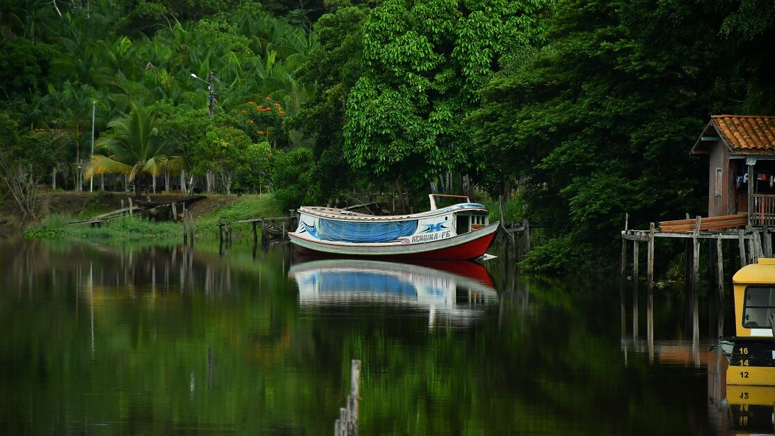 Mobilização internacional ganha força para alertar sobre os riscos da proposta de Taxa ou Tributo sobre Florestas em Pé (TFFF), em discussão no âmbito das Nações Unidas. A Rede de Trabalho Amazônico (GTA), uma das maiores redes socioambientais da Amazônia, lançou uma declaração pública intitulada “NÃO ao TFFF, SIM aos direitos das florestas”